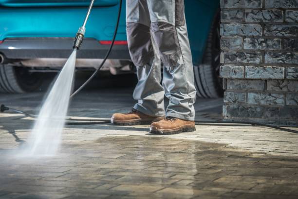 Best Dumpster Area Cleaning  in Westwood Shores, TX