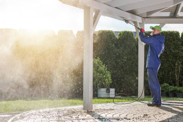 Best Sidewalk and Walkway Cleaning  in Westwood Shores, TX